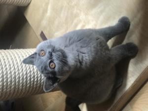 IMG 1989[1]