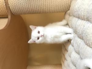 IMG 7134[1]